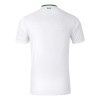 Maillot de Supporter Irlande Extérieur 2024-25 Pour Homme